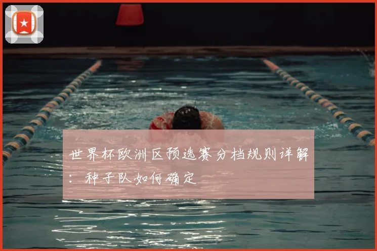 世界杯欧洲区预选赛分档规则详解：种子队如何确定