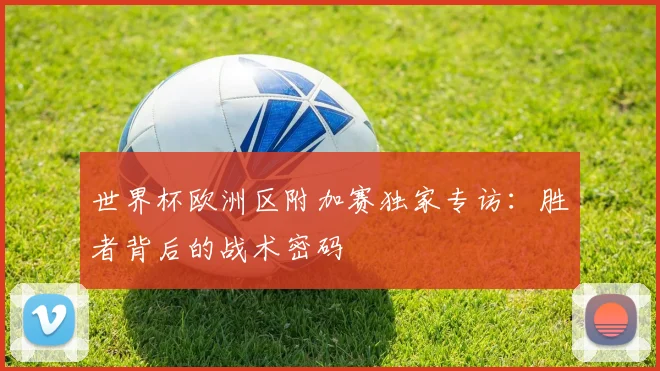 世界杯欧洲区附加赛独家专访：胜者背后的战术密码