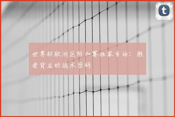 世界杯欧洲区附加赛独家专访：胜者背后的战术密码