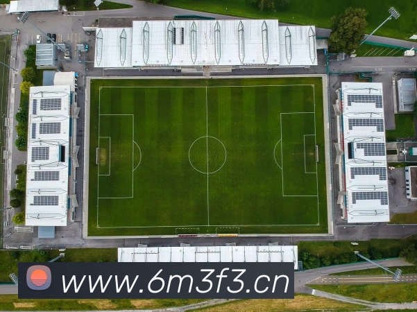 多媒体互动体验